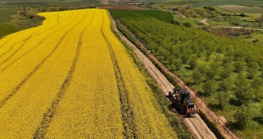Tekirdağ'da Tarla Yolları Hasat İçin Hazırlanıyor