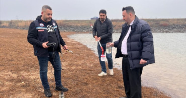 Tekirdağ'da Temrezli Göleti'nde Balık Ölümleri
