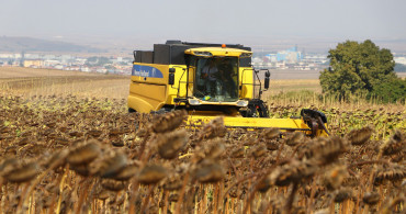Tekirdağ'da Yerli Ayçiçeği Tohumu Projesi’nde Yetiştirilen Ürünlerin Hasadı Yapıldı