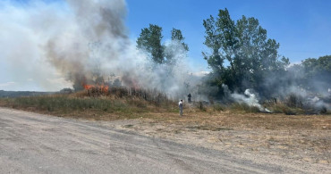Tekirdağ'ın Muratlı ilçesinde otluk alanda çıkan yangın kontrol altına alındı