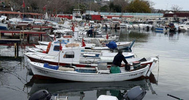 Tekirdağlı Balıkçılar Lodos Nedeniyle Ava Çıkamıyor