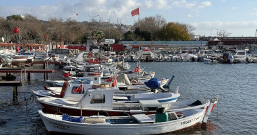 Tekirdağlı Balıkçılar Yağmurlu Yılda Sardalya ve İstavrit İçin Umutlu