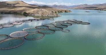 Tercan Barajı'nda Su Seviyesi Yüzde 100'e Ulaştı