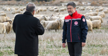 Tiftiğin Ekonomiye Kazandırılması İçin Destek Mekanizmaları Geliştiriliyor