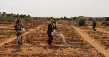 TİKA’nın Nijer’deki Tarım Desteği: Kuraklığa Çözüm