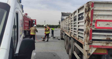 Tır Şoförü Kendi Aracında Kaza Sonucu Hayatını Kaybetti