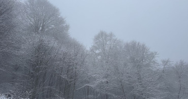 Tokat'ın Yüksek Kesimlerinde Kar Yağışı Etkili Oldu