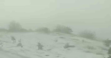 Tokat'ta Etkili Dolu Yağışı