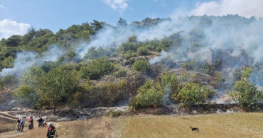 Tokat'ta Orman Yangını Kontrol Altına Alındı