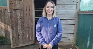 Tokat'ta Yaralı Yılan Kartalı Samsun'da Tedavi Ediliyor