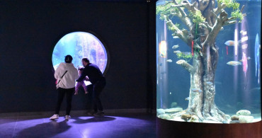 Trabzon Akvaryum 2025'te 215 Bin Ziyaretçiyi Ağırladı