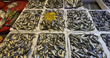 Trabzon Balıkçı Tezgahlarında Hamsi ve İstavrit Ön Planda