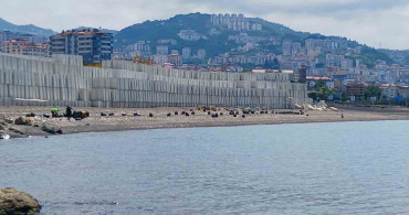 Trabzon sahilinde temizlik seferberliği