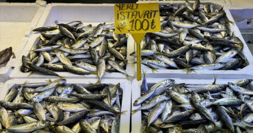 Trabzon'da Balık Fiyatları
