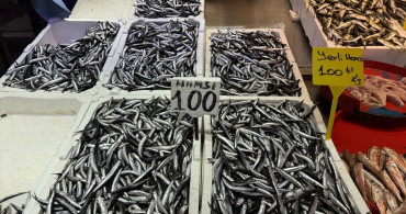 Trabzon'da Balık Fiyatları Yükseliyor: Hamsi ve İstavrit 100 Lira