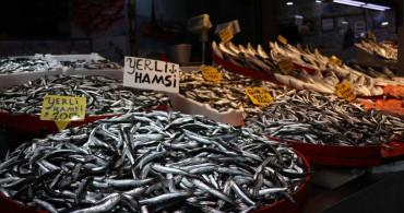 Trabzon'da Balık Tezgahlarında Hamsi ve İstavrit Yoğun İlgi Görüyor