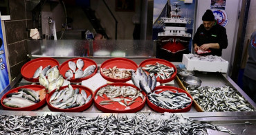 Trabzon'da Hamsi Bolluğu Devam Ediyor