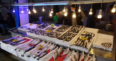 Trabzon'da Hamsi Bu Defa Üzdü: Tezgâhlarda 2 Gündür Görünmüyor
