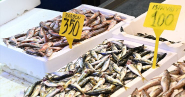 Trabzon'da Hamsi Fiyatları