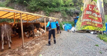 Trabzon'da Kurban Alanlarında Hijyen Seferberliği