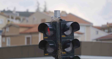 Trafik Lambasında Kumru Yuvası Görülüyor