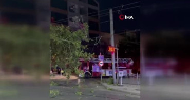Tramvay hattına düşen dal seferleri aksattı