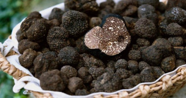 Trüf Mantarı Nedir? Nasıl Tüketilir?