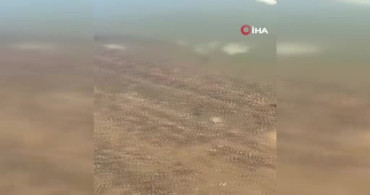 Tufanbeyli'de Gizemli Ölüm: 24 Yaşındaki Kadın Barajda Bulundu