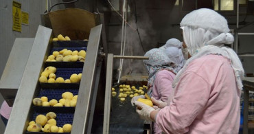 Tüketicinin Patates Püresine İlgisi Arttı