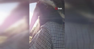 Tunceli'de keçileriyle sevgi dolu anlar