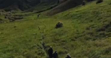 Tunceli'de mantar toplarken ayı saldırısına uğrayan 3 kişi yaralandı