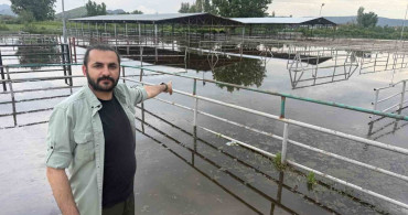Turhal'da Taşkın Nedeniyle Hayvan Pazarı Kurulamadı
