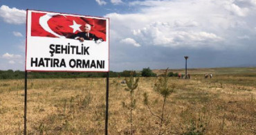 Turistin Sözlerine Üzüldü Köyüne Orman Kurdu