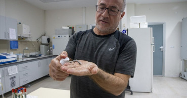 Türk Akademisyenler Mürekkep Balığından Güneş Kremi Geliştirdi