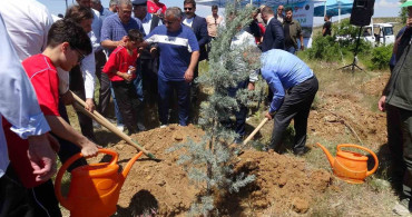 Türkiye Güreş Federasyonu Hatıra Ormanı Malatya’da Açıldı