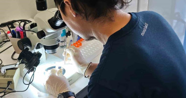 Türkiye ve Japonya'dan kene tehdidine karşı ortak mücadele