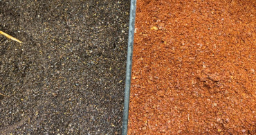 Türkiye'nin Pul Biber İhracatı Artışta