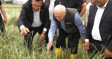 TZOB genel başkanı bayraktar: kahramankazan’ın köylerinde 14 bin dekarın üzerinde hasar var