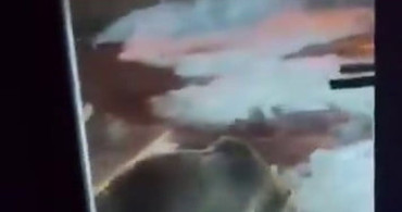 Uludağ'da Ayı Ailesinin Gizli Anları Kamera Kaydında