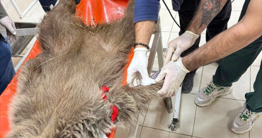 Umut'a Ateş Edenin İzini Mermi Çekirdeğiyle Sürüyorlar