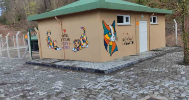 Ünye'de Sahipsiz Hayvanlar İçin Modern Barınak Tamamlanıyor