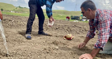 Ürdün'de Kavurucu Sıcaklar Nedeniyle Mahsuller Zarara Uğradı