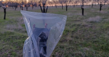 Uşak'ta Badem Üreticilerine Don Uyarısı