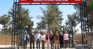 Uşak'ta Hayvan Bakımevi Ziyareti