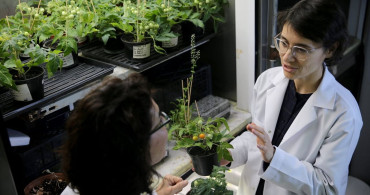 Uzayda Tarım: Türk Bilim İnsanları Ay ve Mars Regolitlerinde Domates Yetiştiriyor