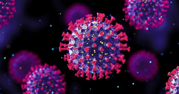 Uzman İsim Omicron’un Müjde Gibi Algılanma Nedenini Açıkladı