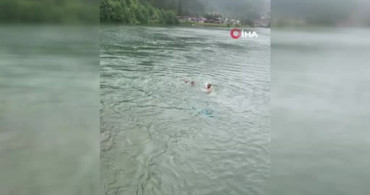 Uzungöl’de kaybolan Arap turist için arama çalışmaları devam ediyor