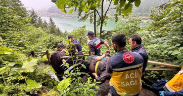 Uzungöl'de seyir terasından araç uçtu, 2 Arap turist yaralandı