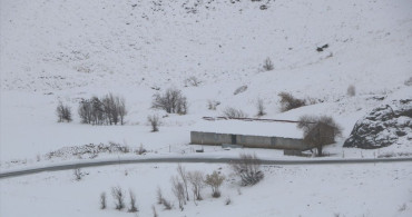 Van, Bitlis ve Hakkari'de Kar Yağışı Etkili Oldu