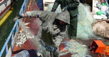 Van Gölü'nde İnci Kefali İçin Av Yasağı Başladı